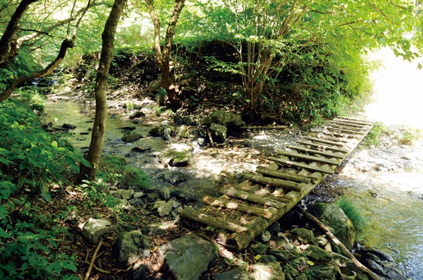 小下沢コース登山口から歩いて行くと現れる小さい木橋を渡れば、開放感のある林道へ出る