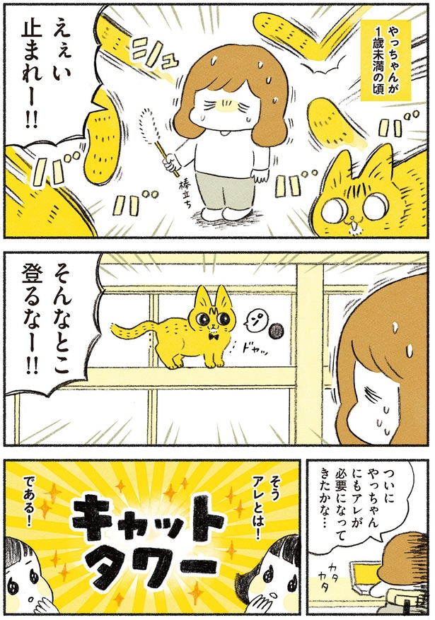 えぇい止まれー！ （C）類／KADOKAWA