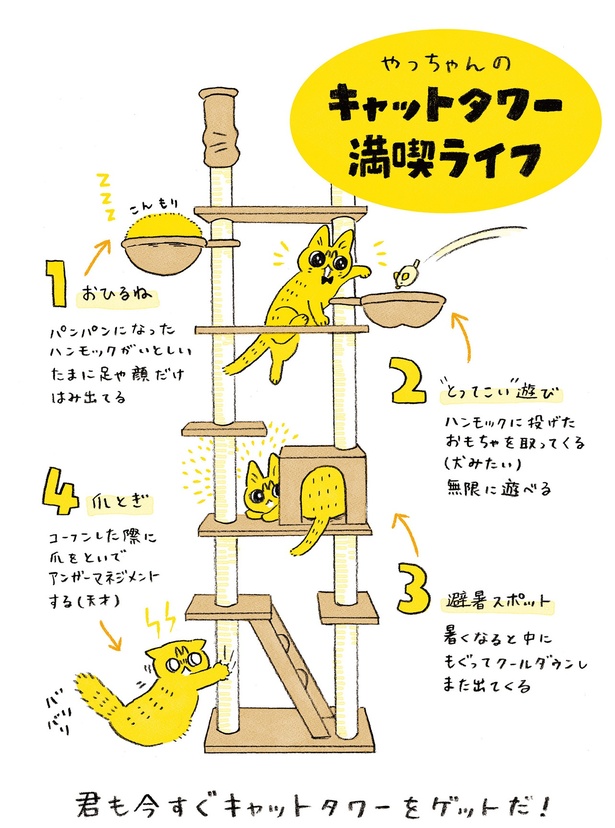 キャットタワー満喫ライフ （C）類／KADOKAWA