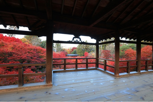 東福寺随一の絶景スポット・通天橋から見下ろす紅葉は必見