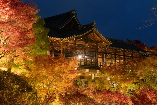 東福寺の通天橋と紅葉が闇に浮かぶ、幻想的な夜間のライトアップ