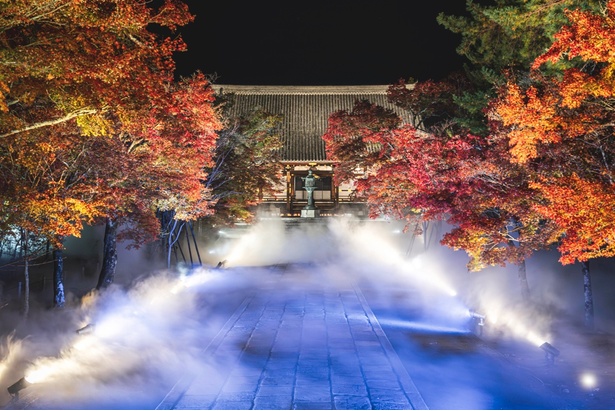 幻想的な写真が撮影できる、仁和寺の雲海ライトアップ
