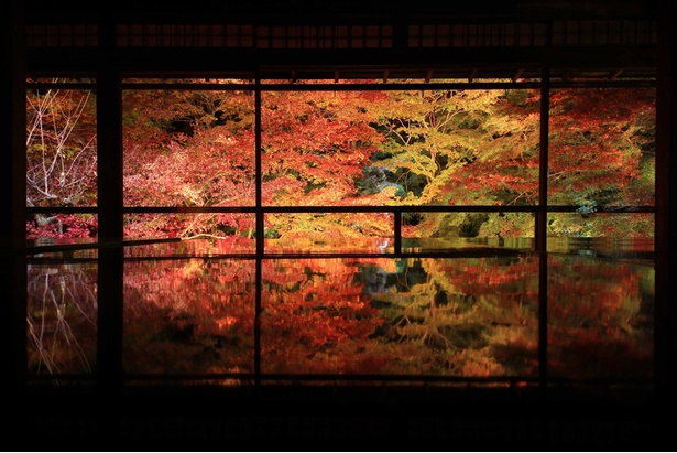 美しい紅葉リフレクションが見られるスポットとして人気を博す、瑠璃光院