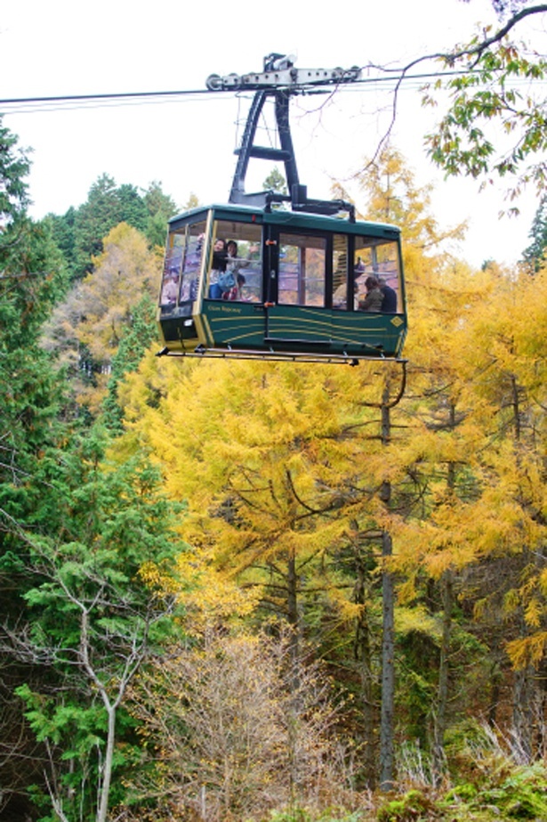 秋は紅葉鑑賞を楽しめる叡山ケーブル・ロープウェイ