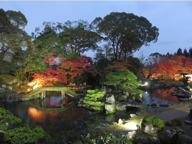 豊臣秀吉が自ら基本設計をした、醍醐寺三宝院の庭園。夜のライトアップでは色鮮やかな木々が闇に映える