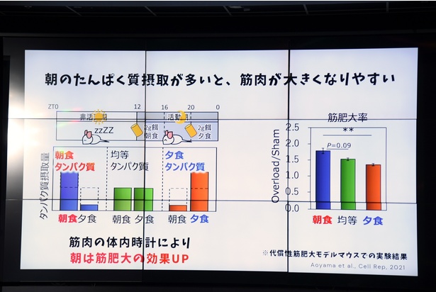 マウスを用いた実験の成果も紹介された