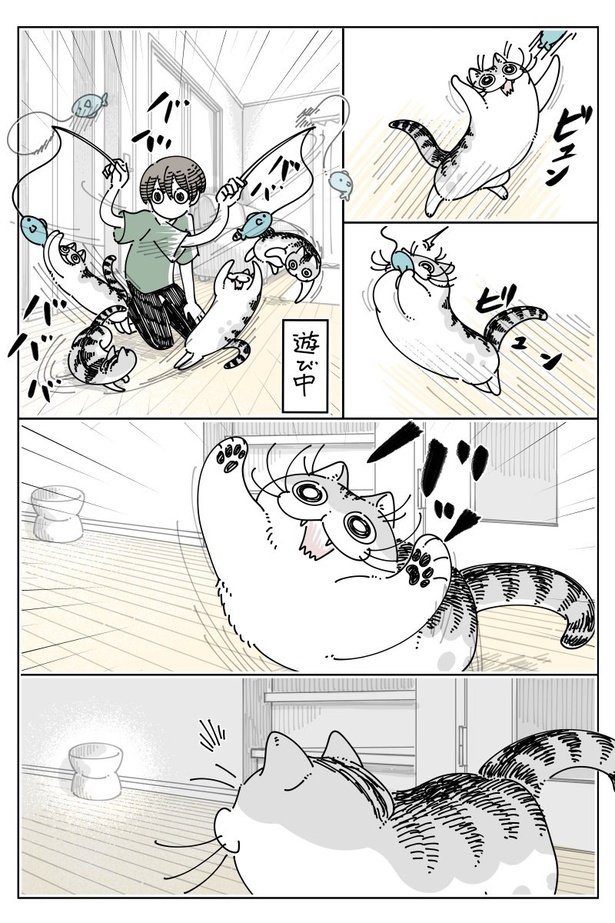 『いきなりごはん』01 画像提供：キュルZ@kyuryuZ