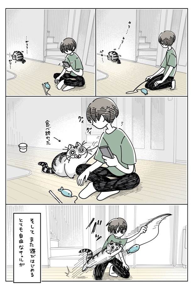 03 画像提供：キュルZ@kyuryuZ