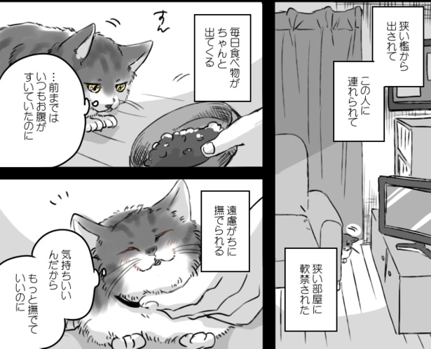 警戒しながらも「軟禁生活」は思いの外、楽しかった ■画像提供:かっく(@cak221)