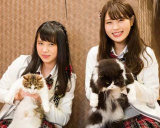 【NMB48】猫好きのなぎちゃんが登場！初めて猫に触れたももるんは？