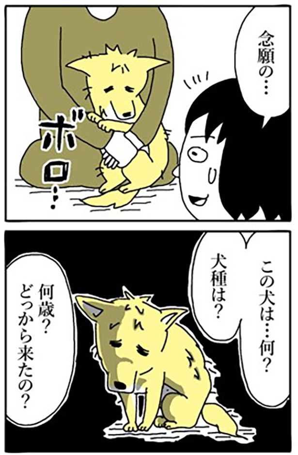 妹がすずちゃんと初めて会うが…1-8