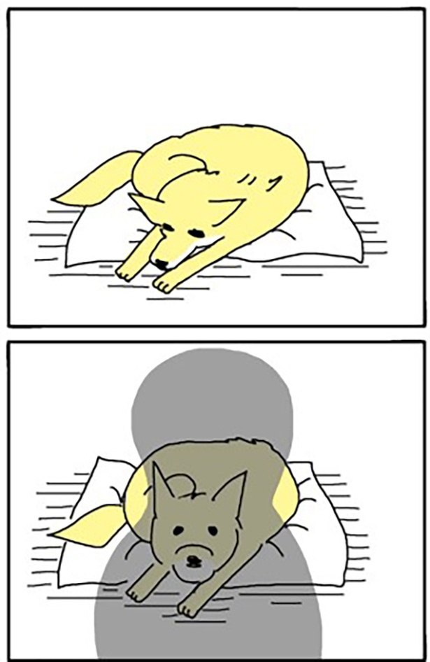 2-16