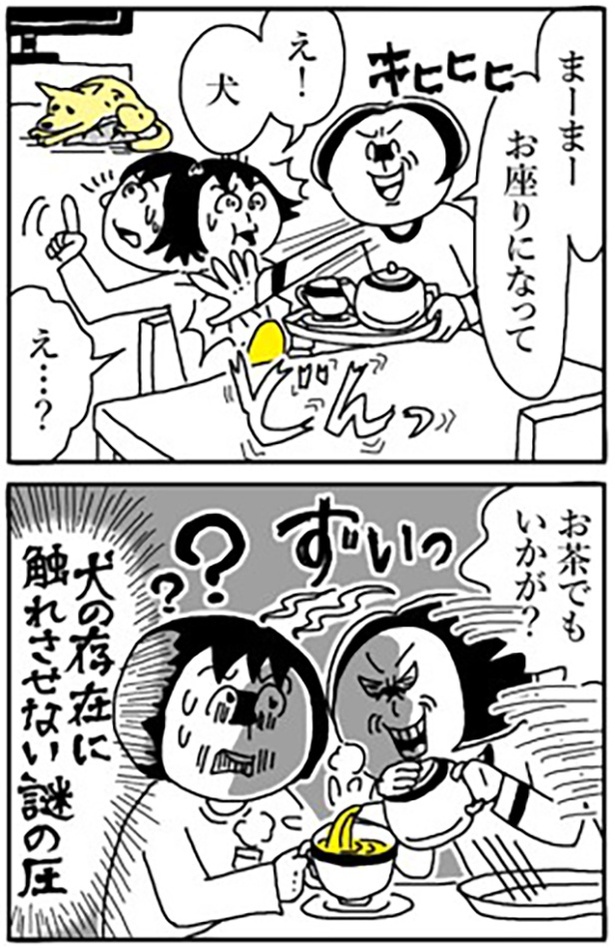 2-6