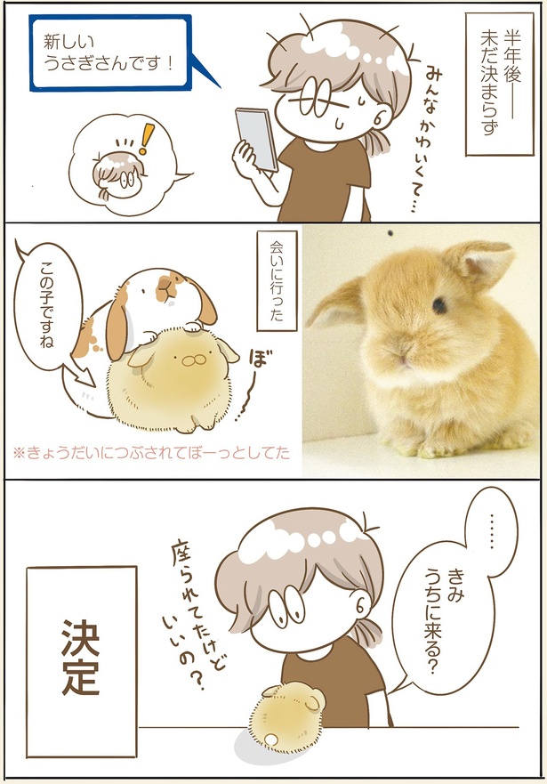 決定 （C）赤血球／KADOKAWA