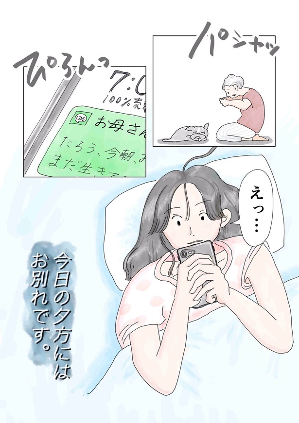 画像提供:チャン・メイ(@masondixon402)