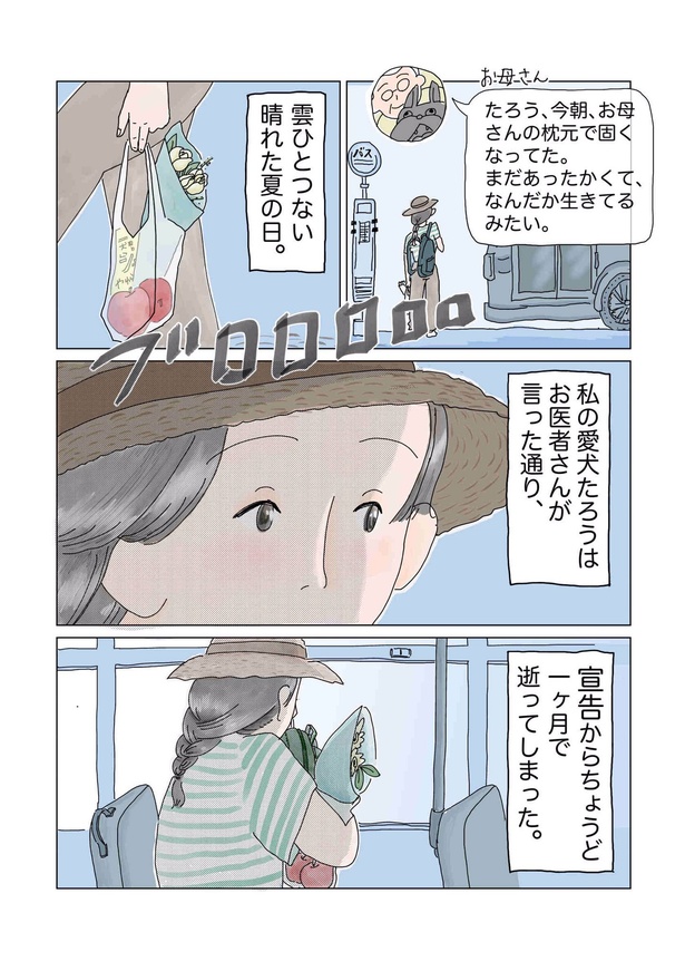 画像提供:チャン・メイ(@masondixon402)