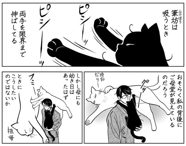 吸いすぎておかしい猫06