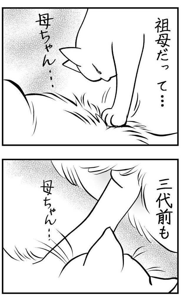 吸いすぎておかしい猫07