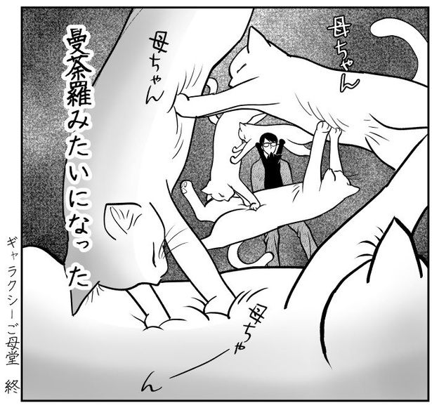 吸いすぎておかしい猫08