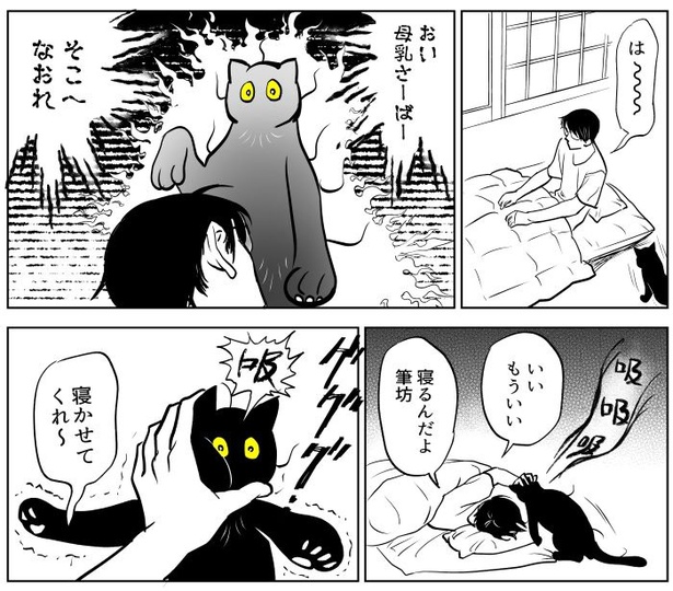 吸いすぎておかしい猫11
