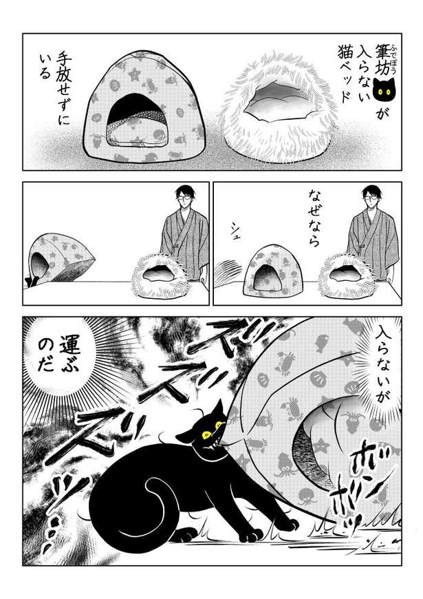 めっちゃ運ぶ猫01
