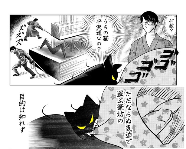 めっちゃ運ぶ猫02