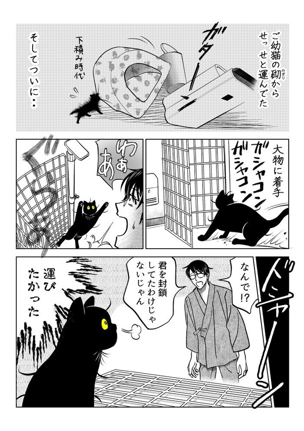 めっちゃ運ぶ猫05