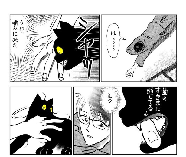 めっちゃ運ぶ猫06