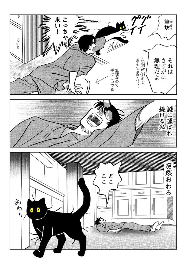 めっちゃ運ぶ猫08