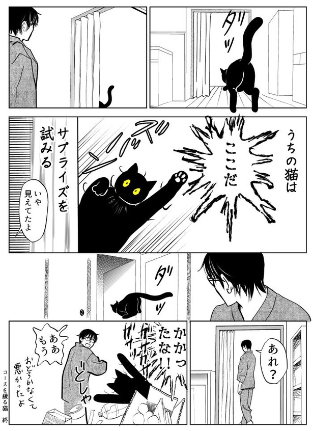 うちの猫は様子がおかしい04