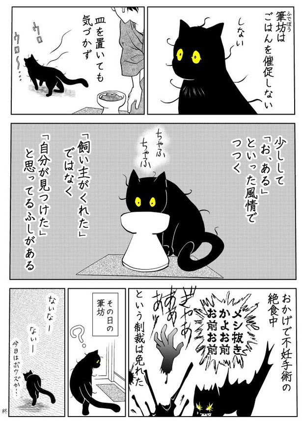 うちの猫は様子がおかしい05