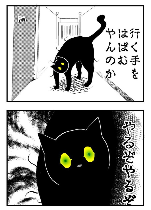うちの猫は様子がおかしい06