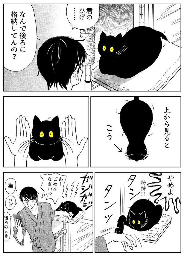 うちの猫は様子がおかしい14