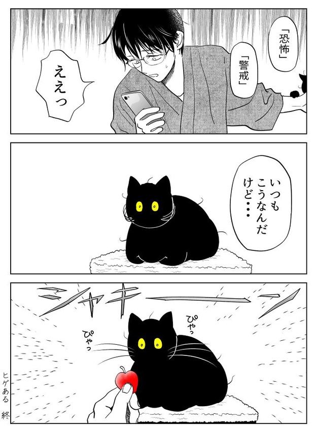 うちの猫は様子がおかしい15
