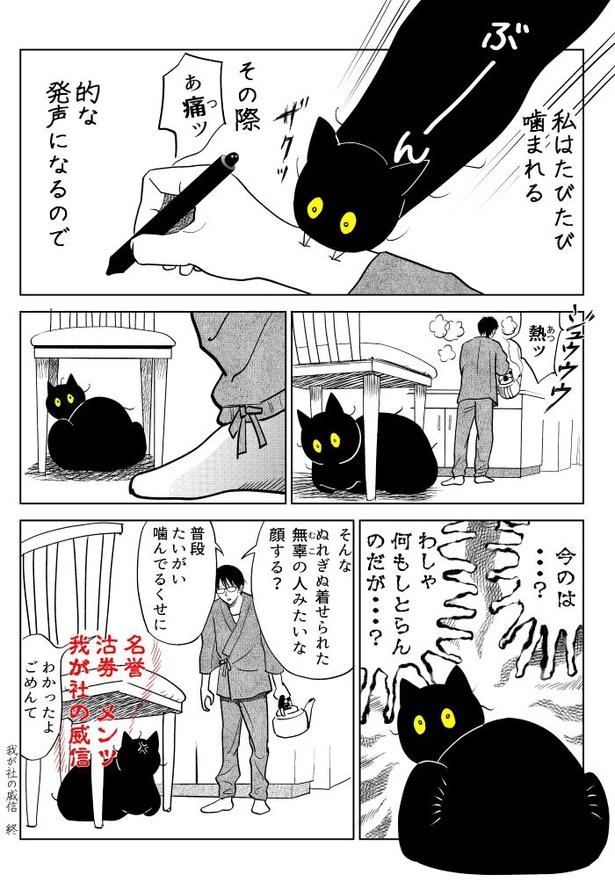 うちの猫は様子がおかしい16