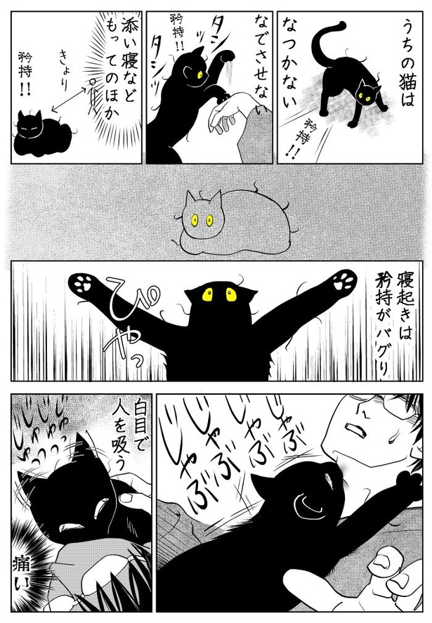 うちの猫は様子がおかしい18