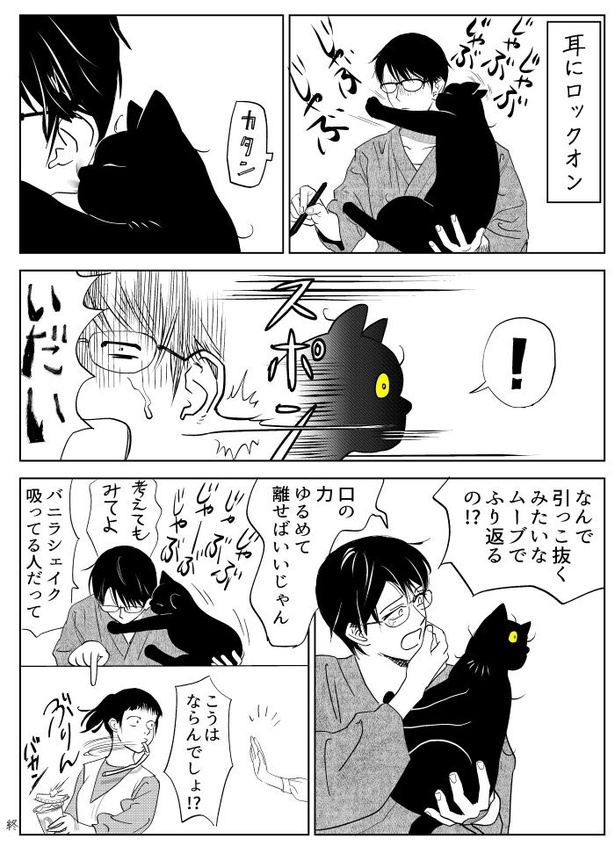 うちの猫は様子がおかしい20