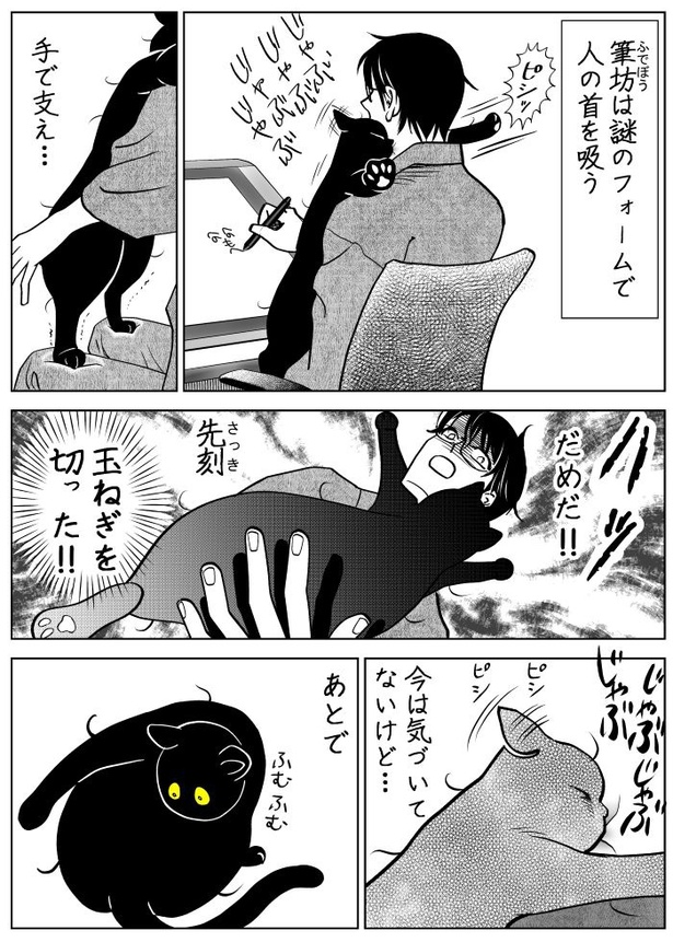 うちの猫は様子がおかしい21