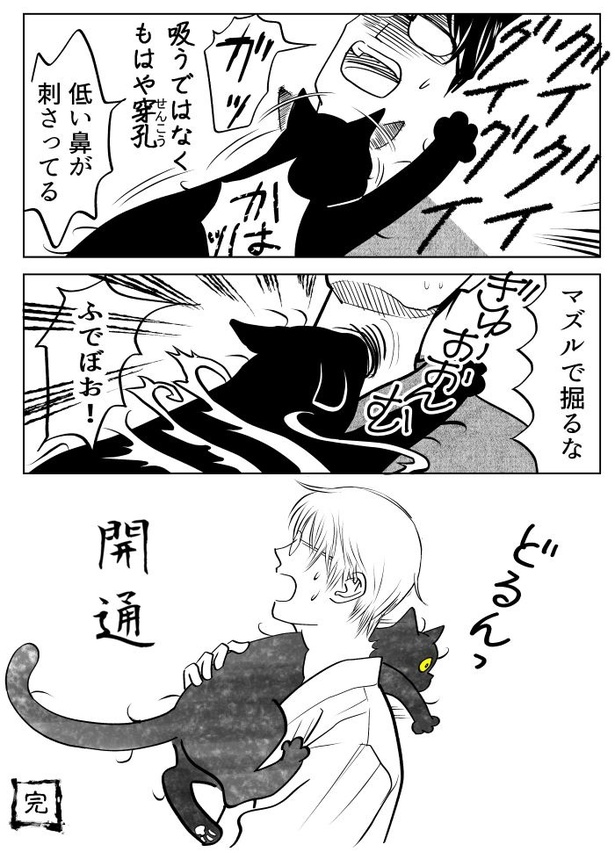 うちの猫は様子がおかしい24