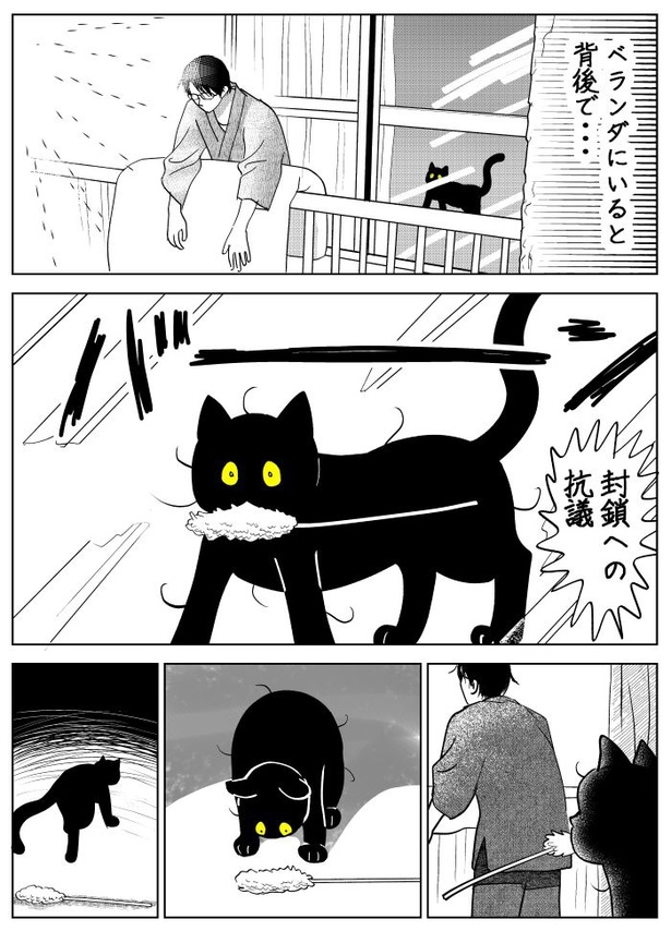 うちの猫は様子がおかしい25