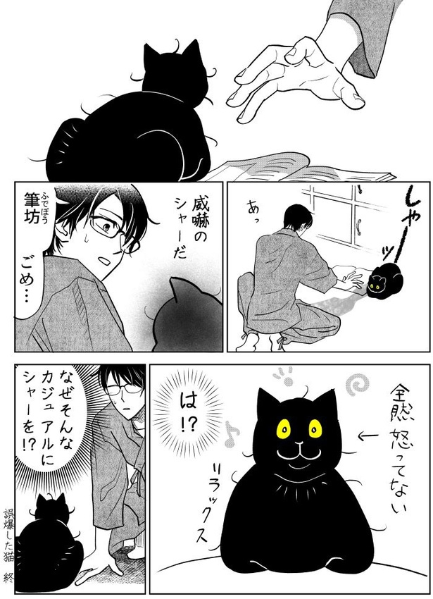 うちの猫は様子がおかしい31