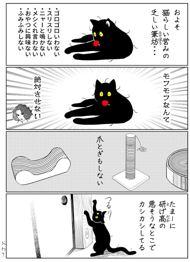 うちの猫は様子がおかしい32