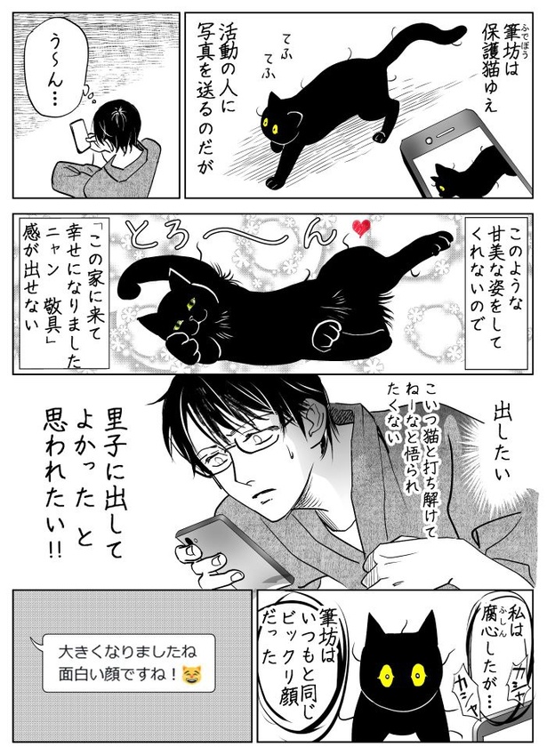 うちの猫は様子がおかしい33
