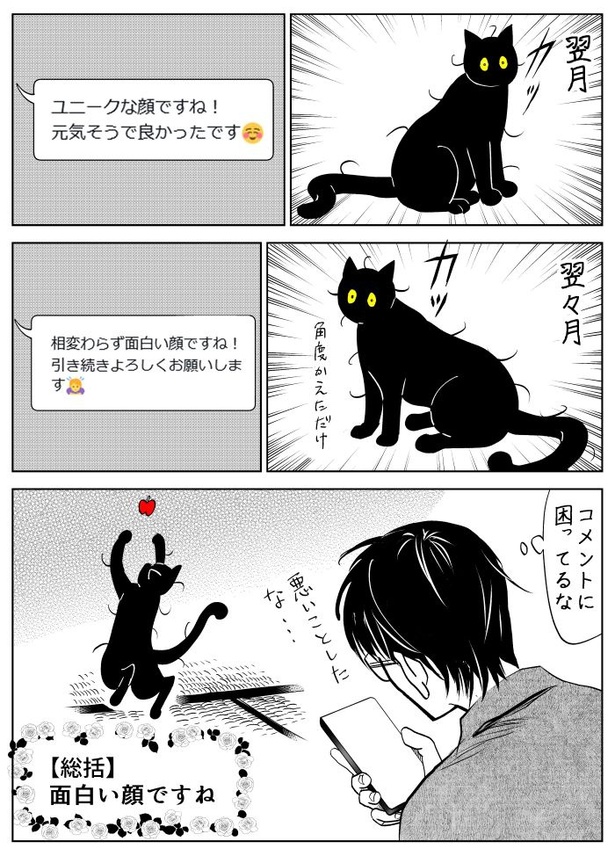 うちの猫は様子がおかしい34