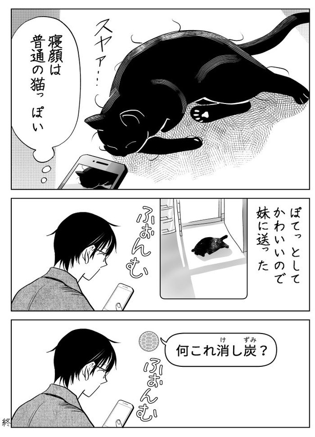 うちの猫は様子がおかしい35