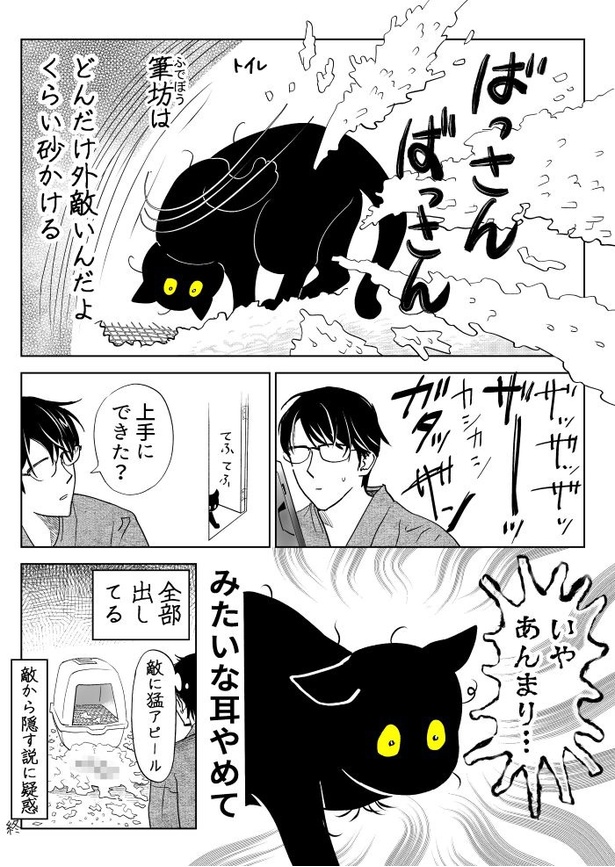 うちの猫は様子がおかしい36