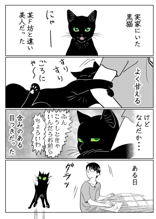 うちの猫は様子がおかしい37