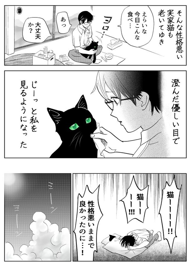 うちの猫は様子がおかしい39