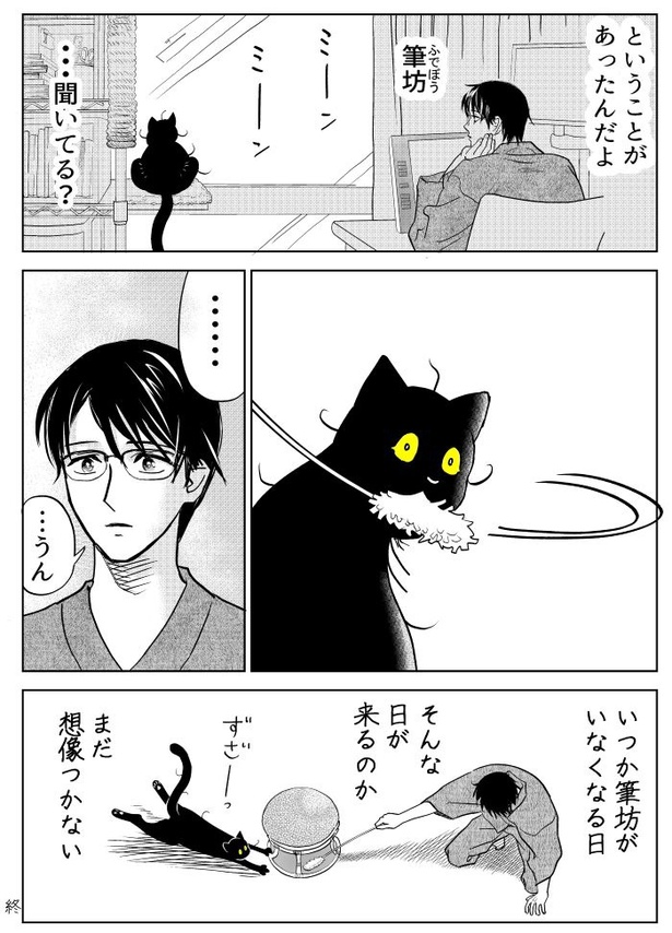 うちの猫は様子がおかしい40
