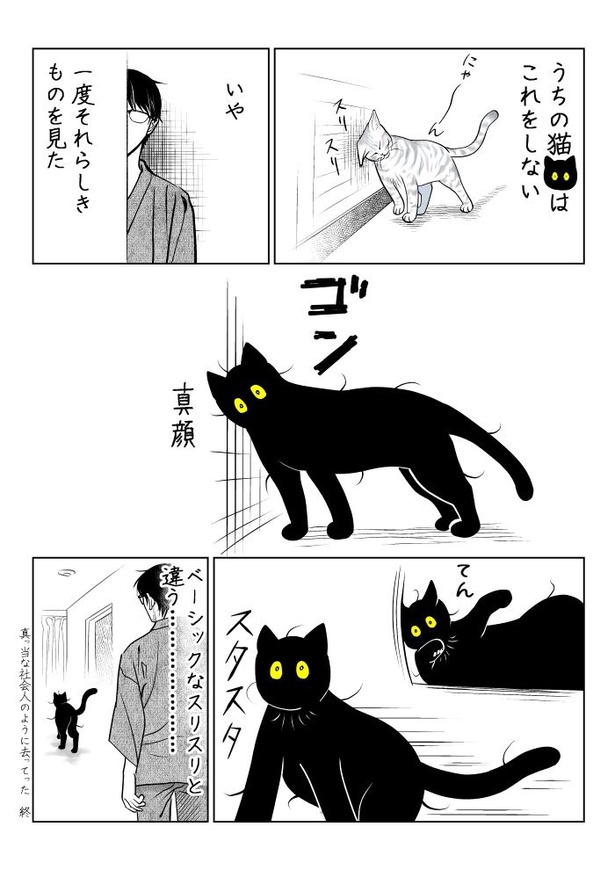 うちの猫は様子がおかしい42